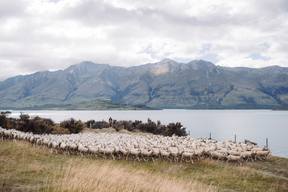 Find a Photographer-6.jpg